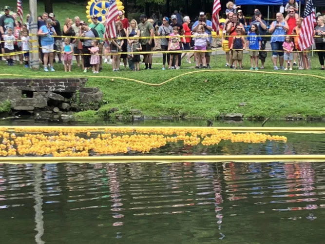 Getting their ducks in a row